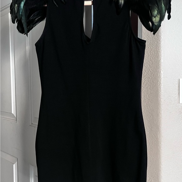 Chic Black Dress with Feather Accents Mini - Picture 1 of 6